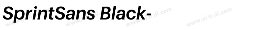 SprintSans Black字体转换